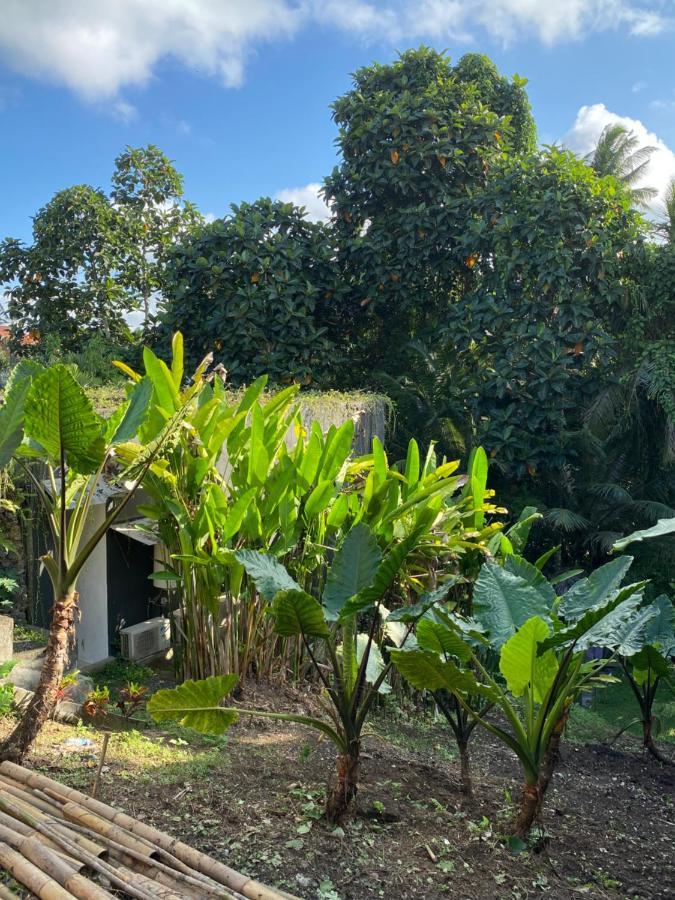 Hotel The Civyt Ubud Exterior foto